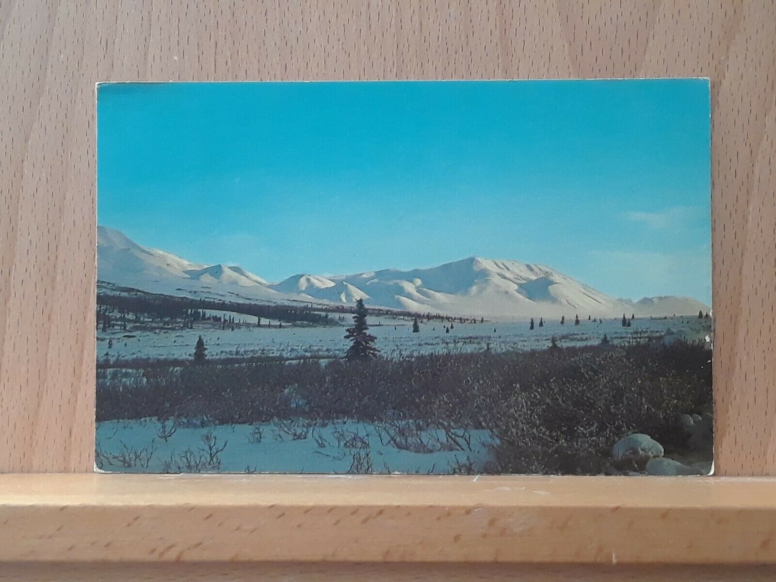Post Card View Of Mt Mckinley (now Denali) In Denali National Park