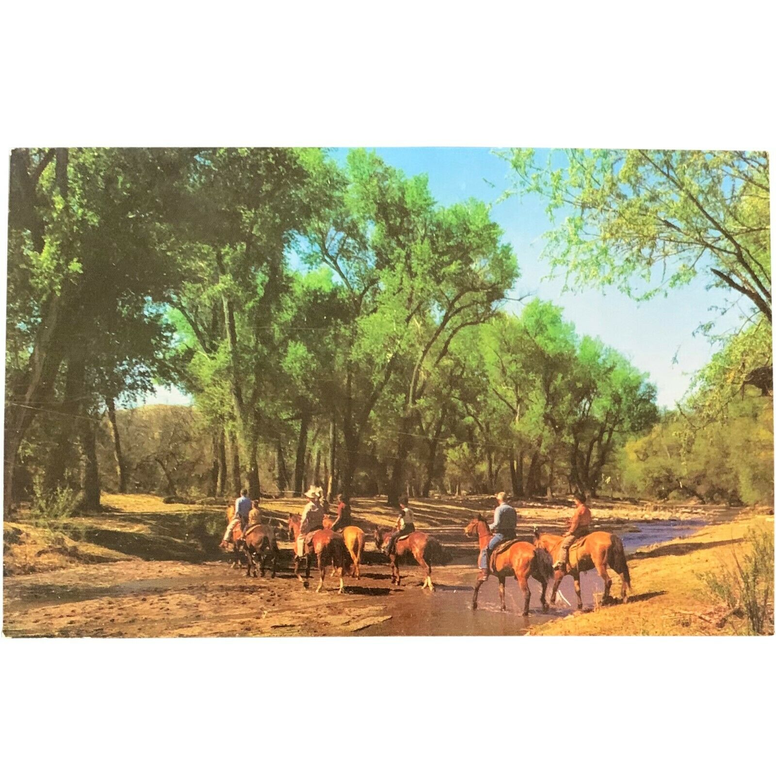 Postcard, Circle Z Ranch, Patagonia, Az