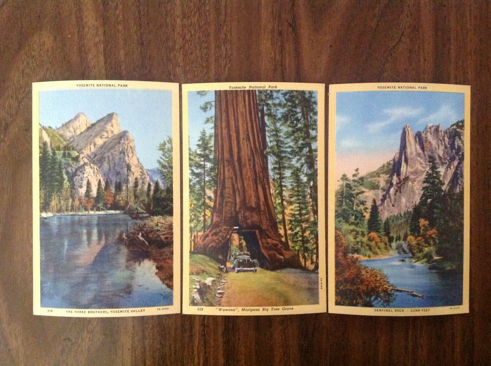 Vintage 1920-1930 Yosemite National Park Colortone Art Postcard Deltiology Lot 3